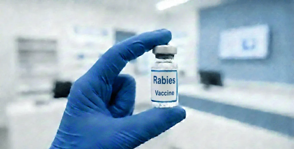rabies-vaccine